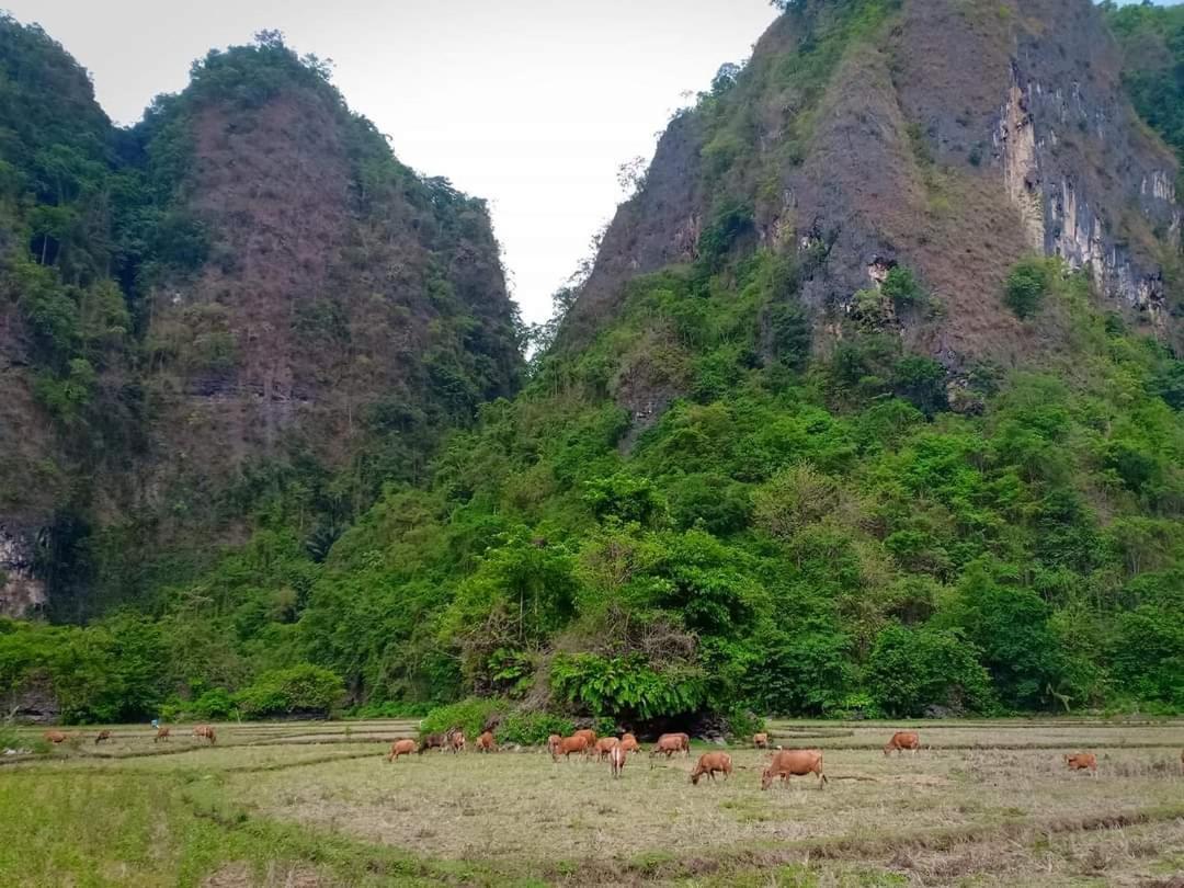 Kampoeng Karst Rammang Rammang Guest House Kasijala Exterior photo