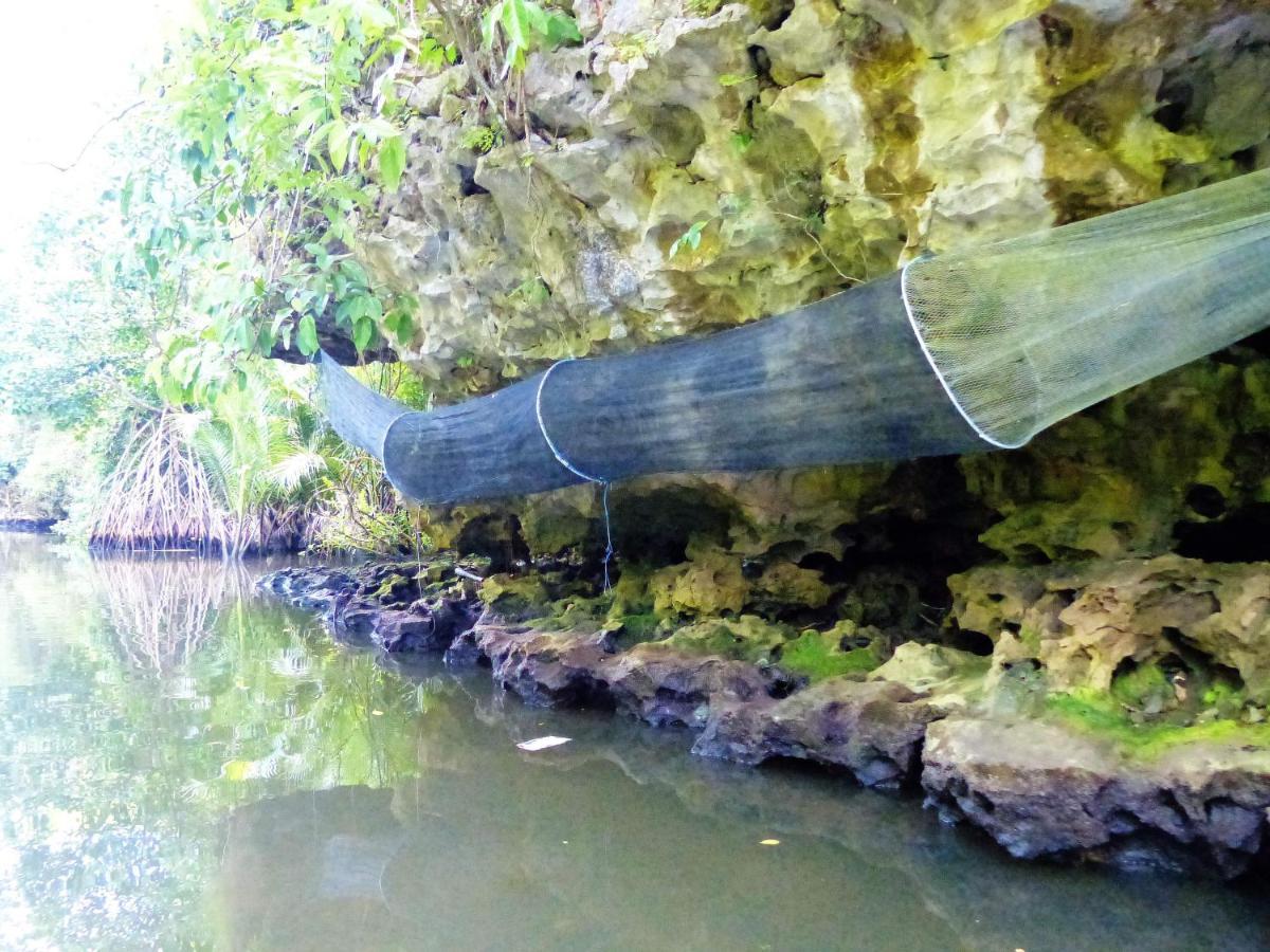 Kampoeng Karst Rammang Rammang Guest House Kasijala Exterior photo